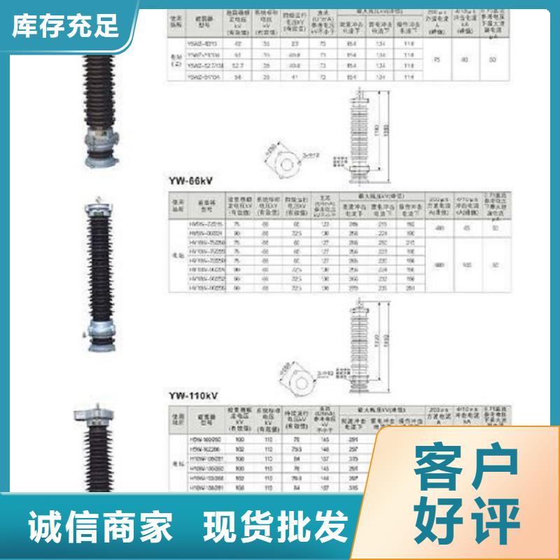 避雷器YH10WZ2-96/232S