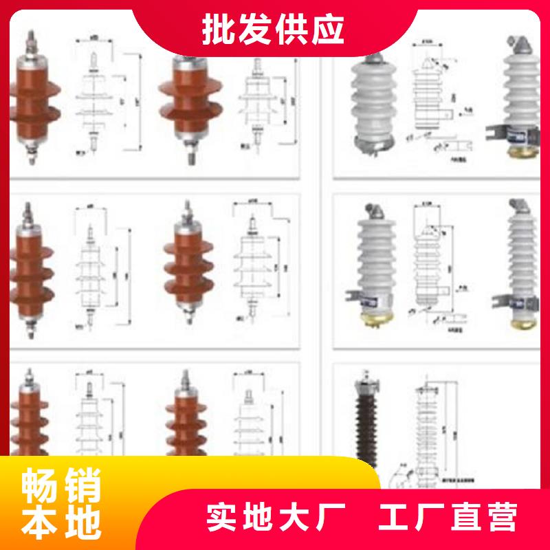 复合绝缘氧化锌避雷器HY10WZ-51/134GY【羿振电气】