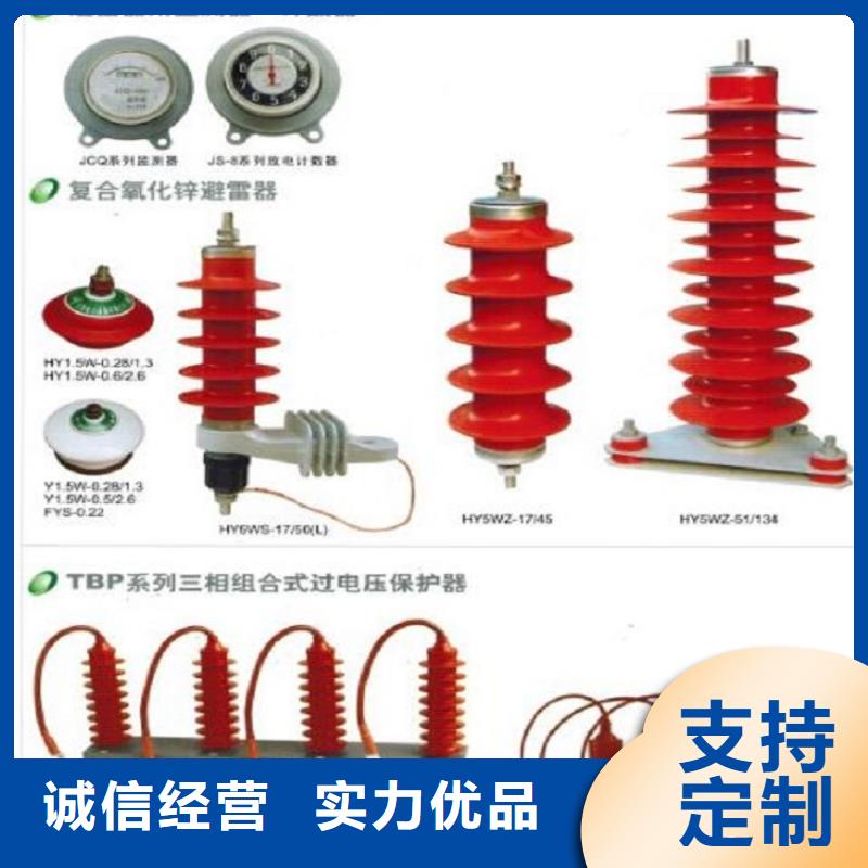 避雷器Y10W1-96/250【羿振电力】