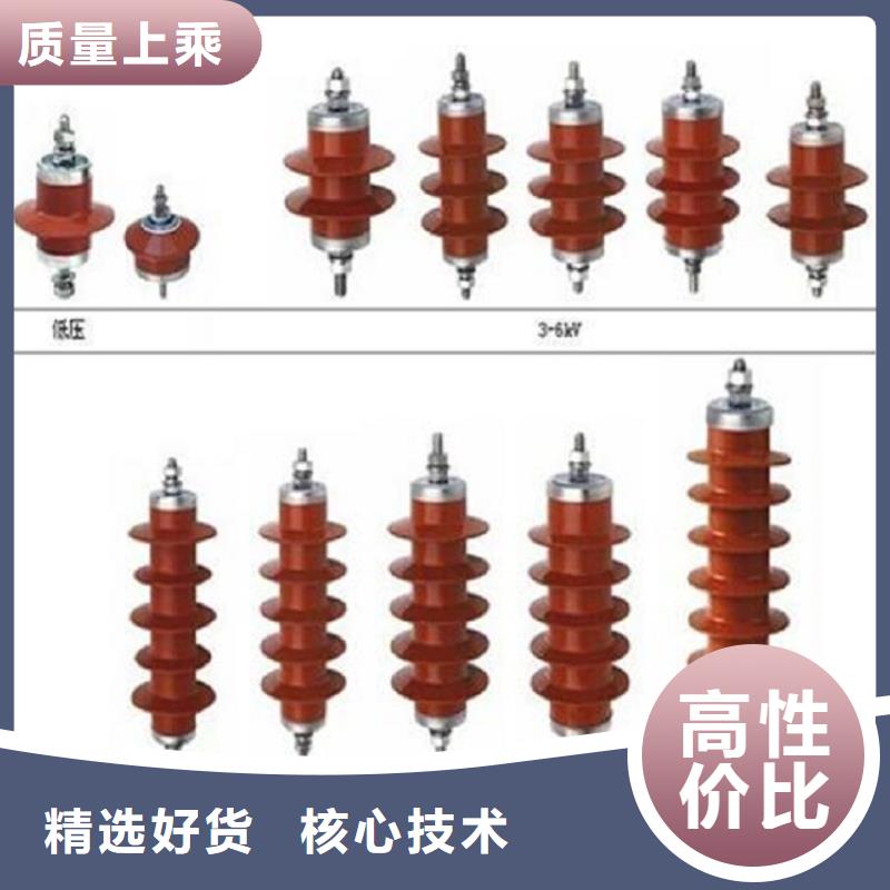 避雷器Y10W-200/496