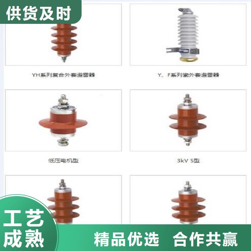 品牌：【羿振电力】金属氧化物避雷器Y10W-200/520