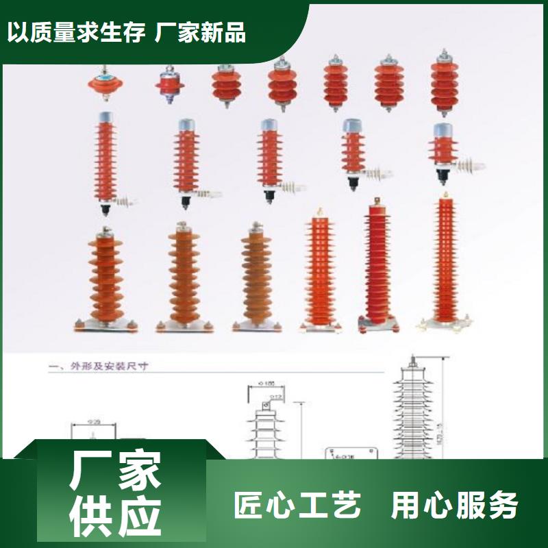 【避雷器】Y10W5-51/134