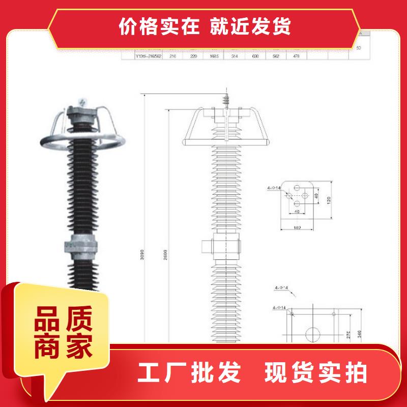 避雷器YH10W5-96/250【羿振电力】