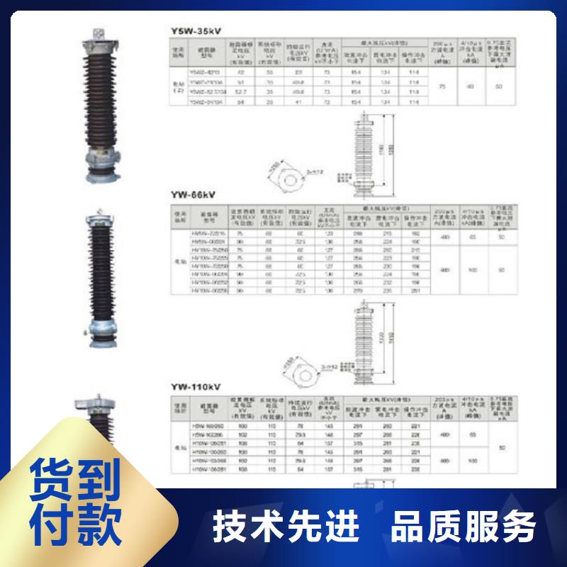 阀式避雷器FS-10