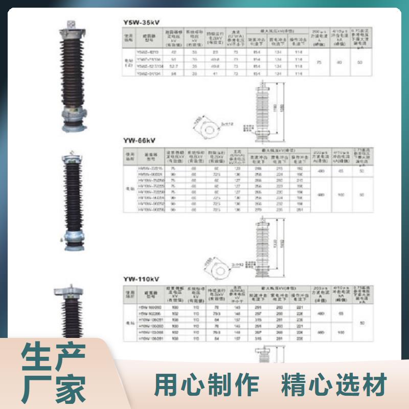 避雷器Y10W-100/260