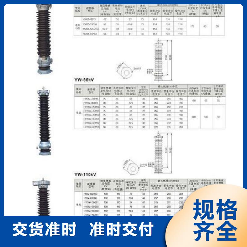 避雷器Y2.5W-12.7/31生产厂家