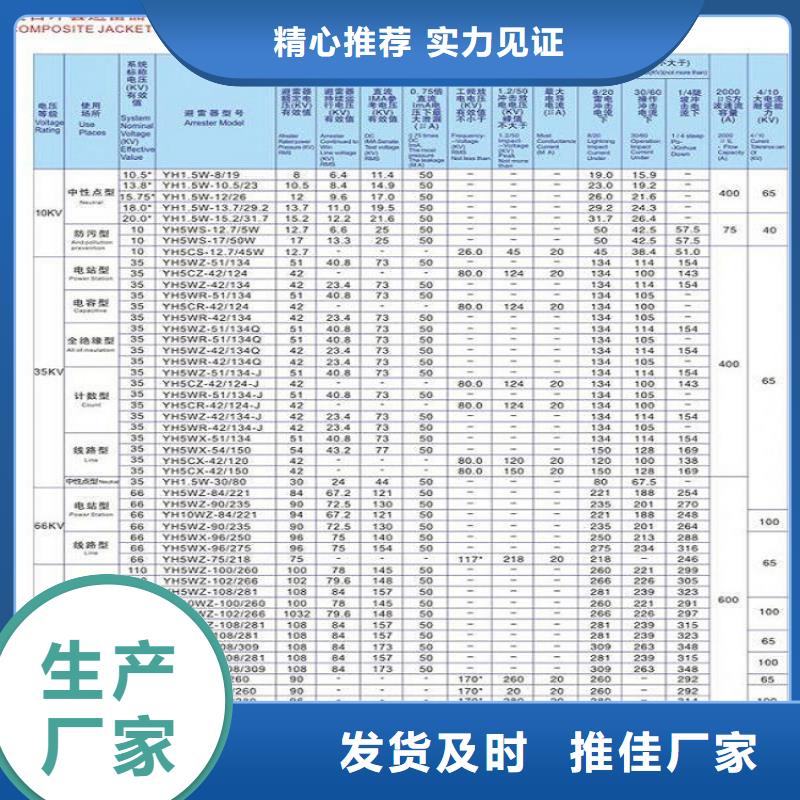 避雷器YH10CX-180/520.