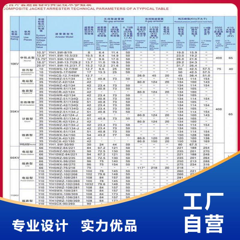 氧化锌避雷器Y10WZ-17/45推荐厂家