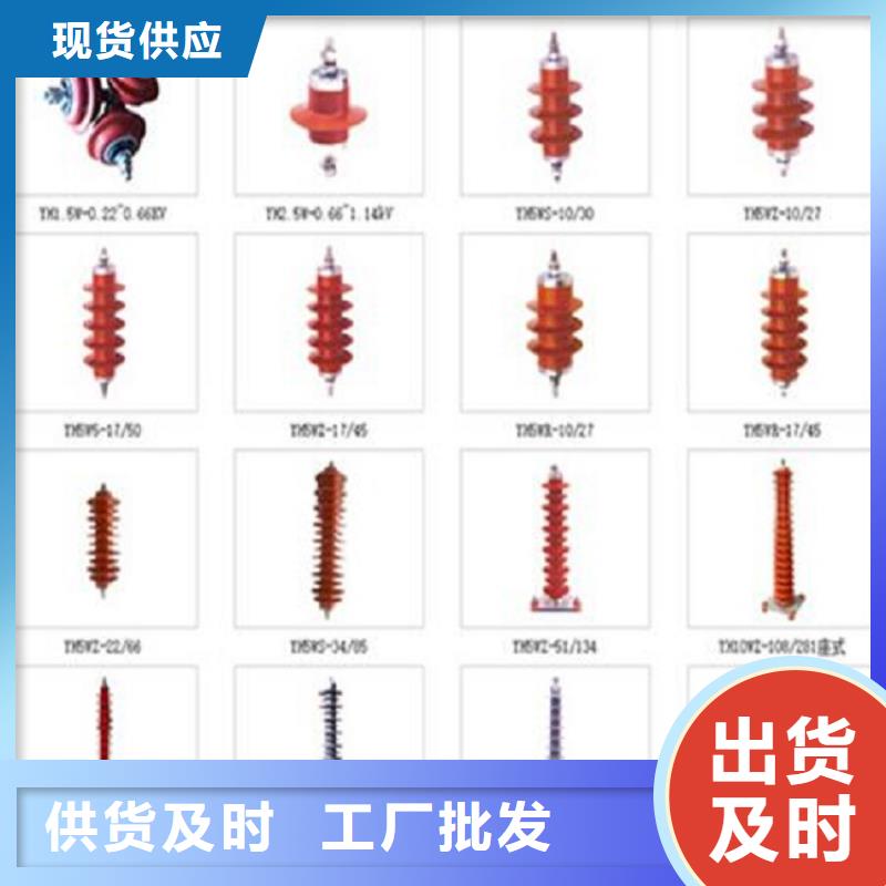 【羿振电力】避雷器Y10W1-42/126W