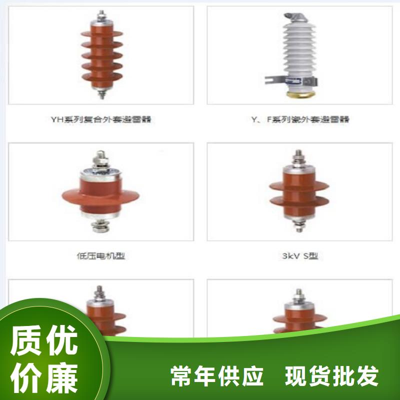 品牌：【羿振电力】避雷器Y10W-192/500