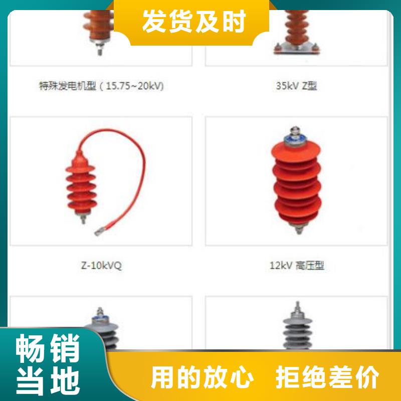 避雷器Y5WT-42/120【羿振电力】