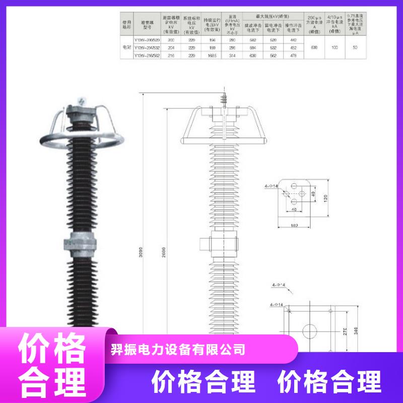 避雷器Y10W-100/260