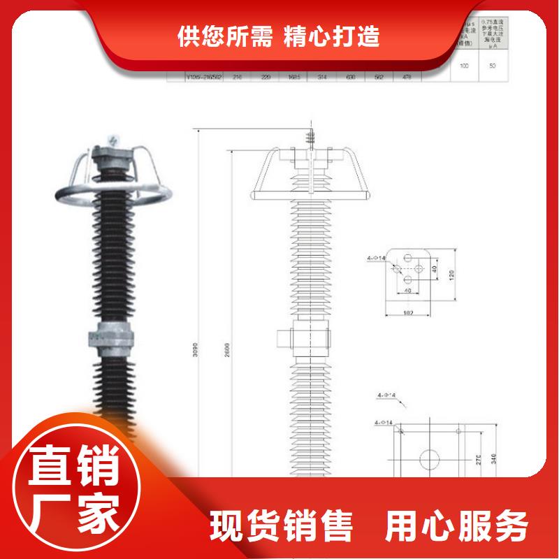 【避雷器】Y5W-54/134W