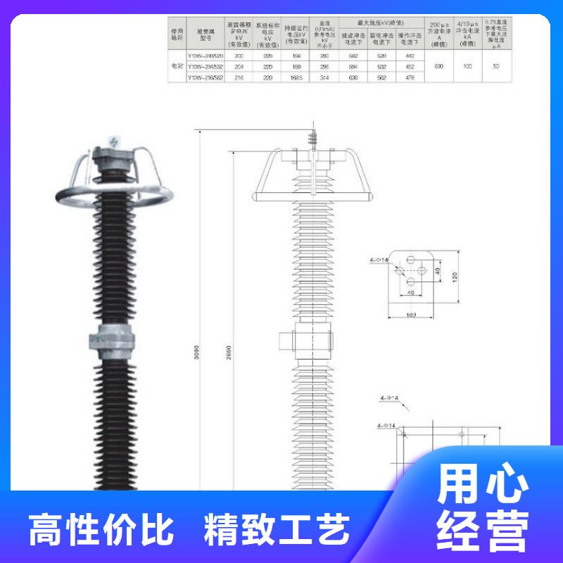 避雷器YH10CX5-100/260，放电计数器【羿振电力】