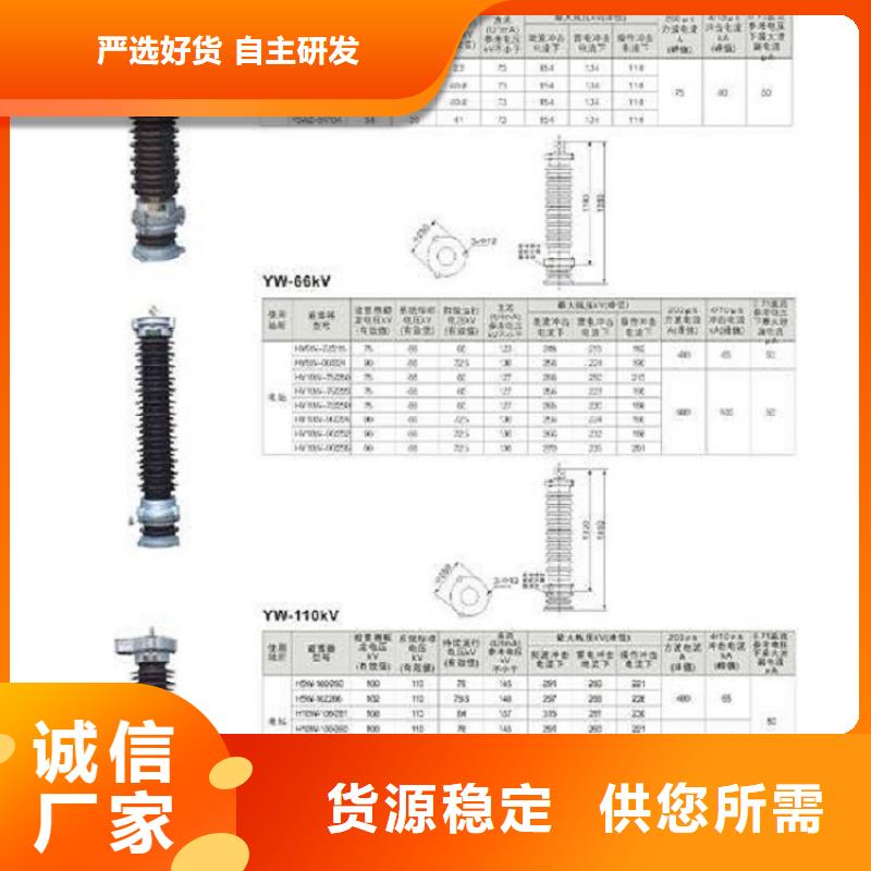 品牌：【羿振电力】避雷器Y10W-192/500