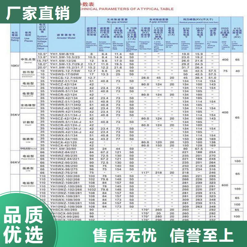 避雷器YH10WZ-100/260.