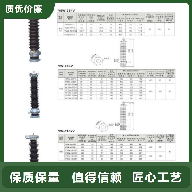 氧化锌避雷器YH10W5-116/302GY_羿振电力设备有限公司