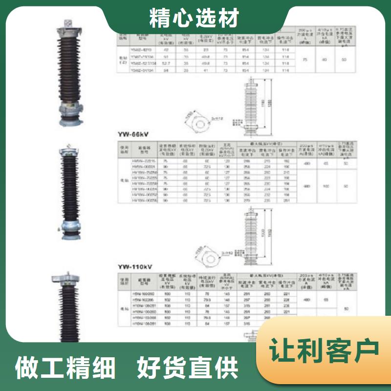 避雷器YH3WZ-0.28/1.3-R【上海羿振电力设备有限公司】