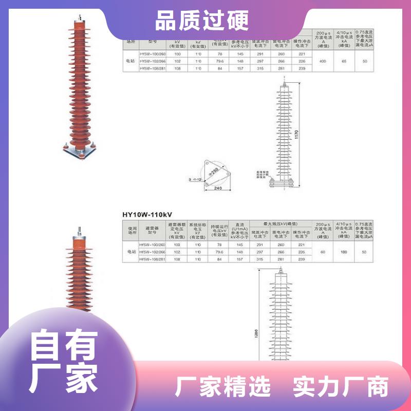 金属氧化物避雷器HYSW2-17/45浙江羿振电气有限公司
