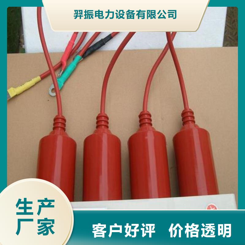 过电压保护器(组合式避雷器)TBP-A-42/630W2