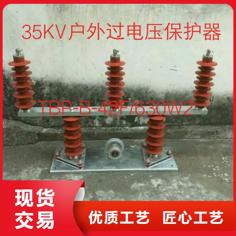 保护器(组合式避雷器)YHB5WR-51/150*51/134