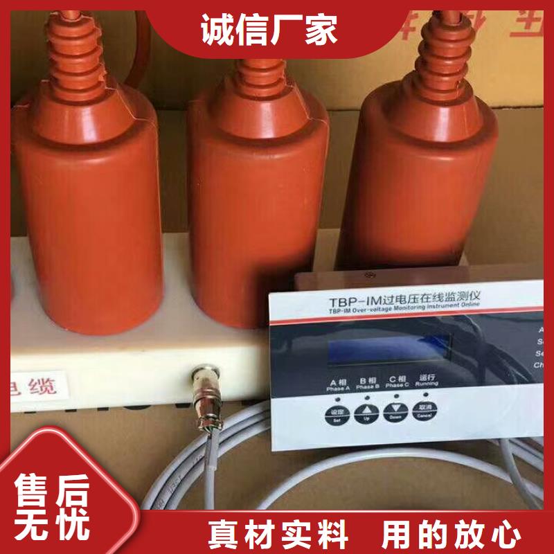 过电压保护器(组合式避雷器)YH5CZ-3/9.8*2