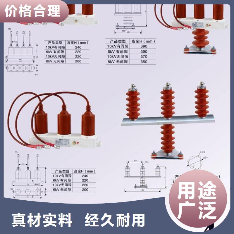 保护器(组合式避雷器)YH5WS-10/30*10/30