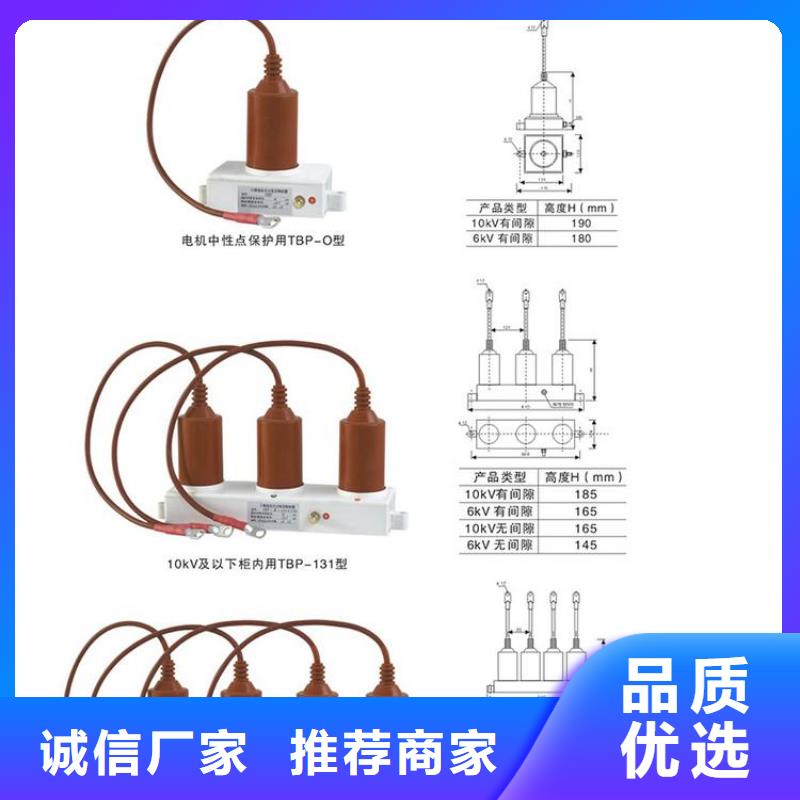 保护器(组合式避雷器)YH5WS-10/30*10/30