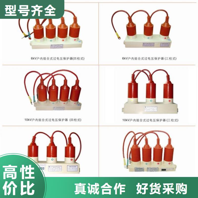 保护器(组合式避雷器)BSTG-C-7.6