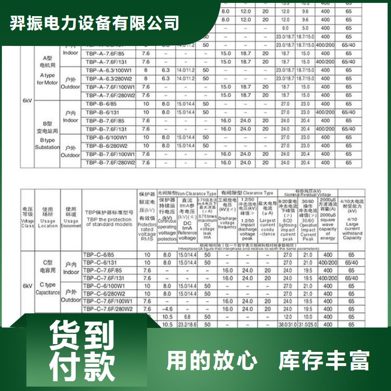 过电压保护器TBP-A-12.7/131-J