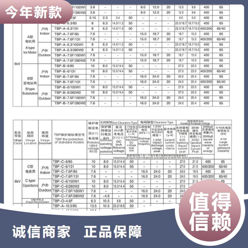 过电压保护器(组合式避雷器)TBP-C-42F/310