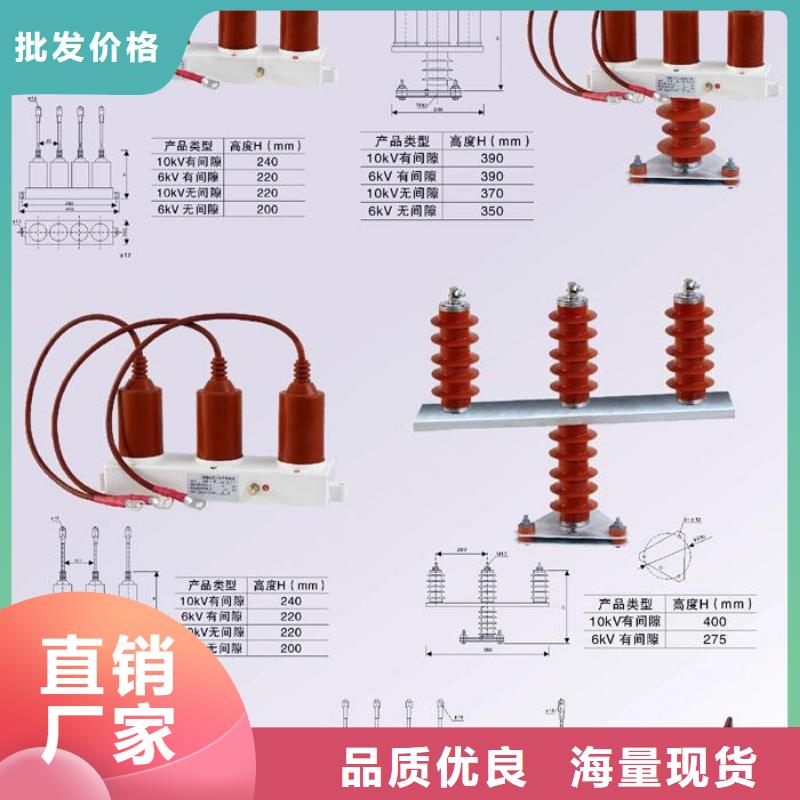 RY-GDY1-A/10组合过电压保护器