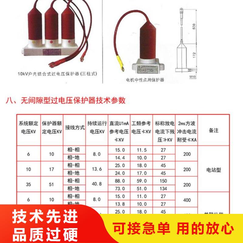 保护器(组合式避雷器)TBP-B-42F/400W