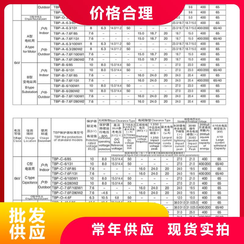 保护器(组合式避雷器)BSTG-B-12.7/131