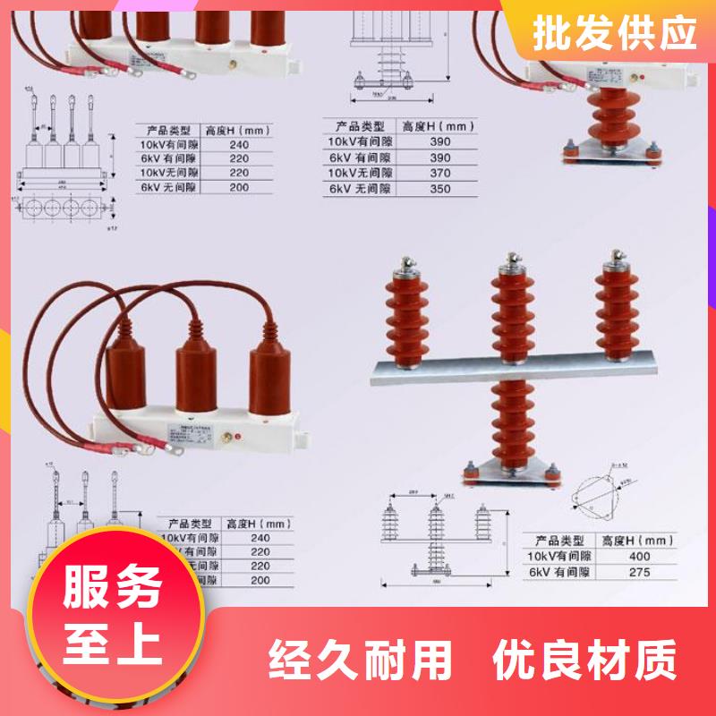 TBP-C-6/131过电压保护器生产厂家