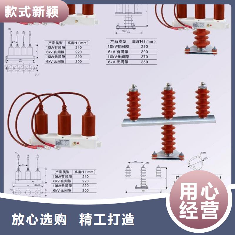 过电压保护器(组合式避雷器)YH5WD-4/11.6*4/9.5