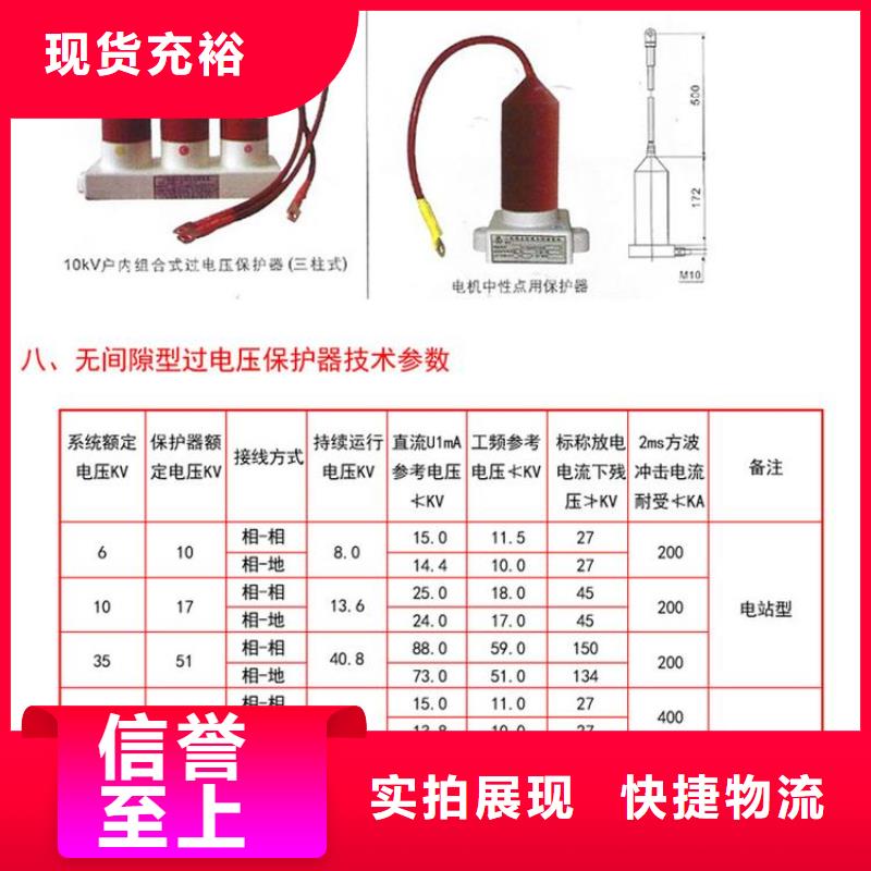 〖过电压保护器〗TBP-B-6.3/85发货快