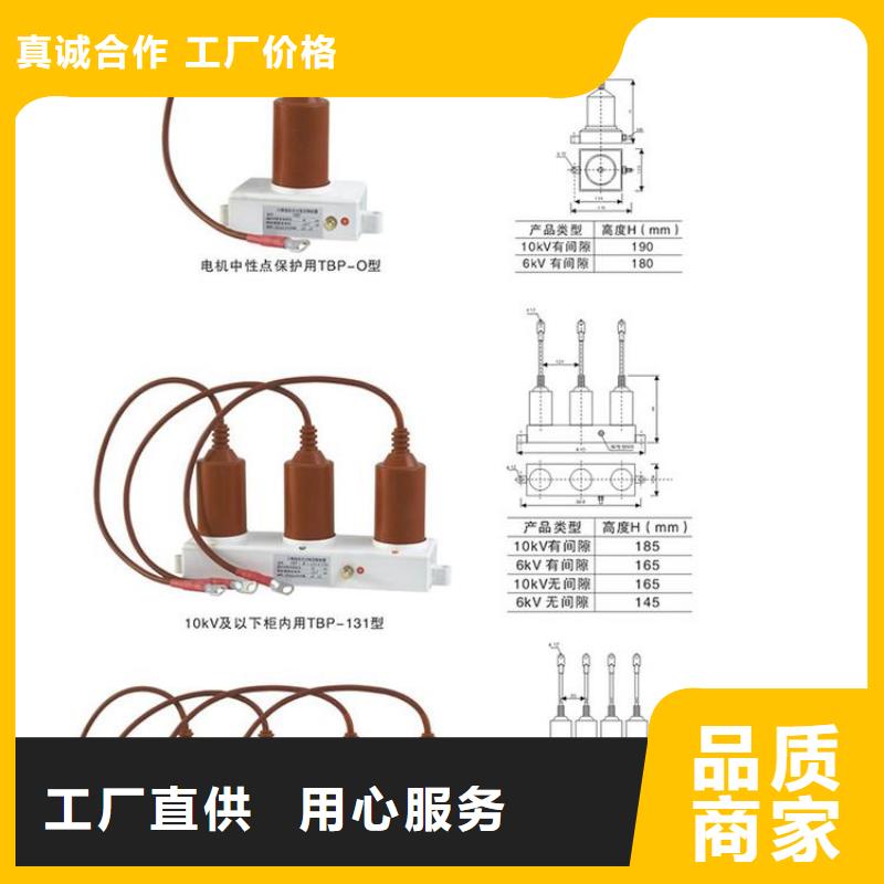 过电压保护器(组合式避雷器)TBP-A-42/630W2