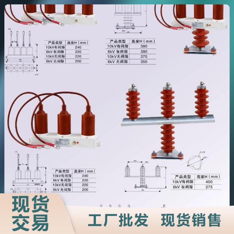 过电压保护器BSTG-B-51/800