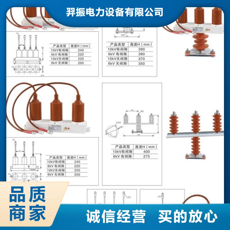【羿振】TBP-A-7.6/131-J过电压保护器  生产厂家