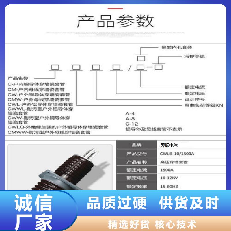 【穿墙套管】CWW-10KV/3000-4