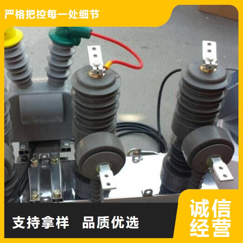 品牌【羿振电力】ZW32-10KV/630-20