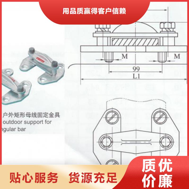 母线固定金具MWP-208T