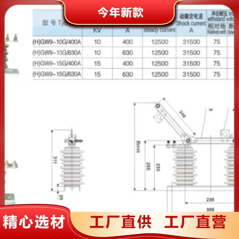 交流三相隔离开关HGW9-10KV/200A