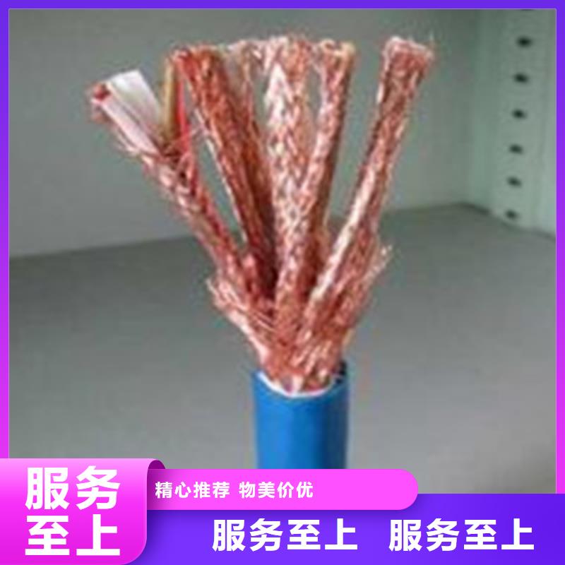 供应DJYJP3V铠装计算机电缆_品牌厂家