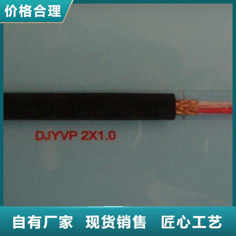 DJVVP22铠装计算机电缆1X2X2.5