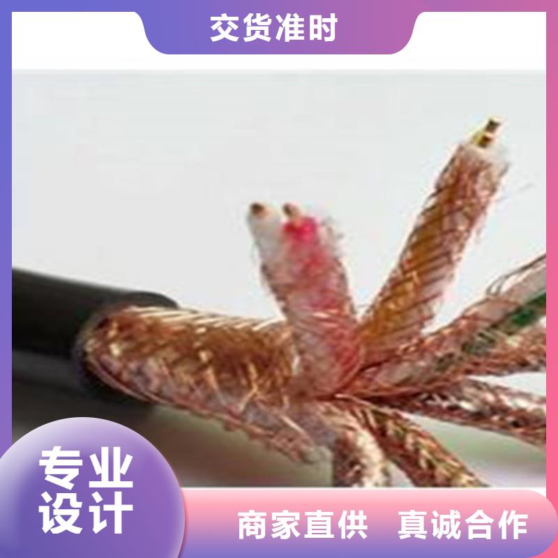 ZRC-DJPP计算机屏蔽电缆-用心做产品