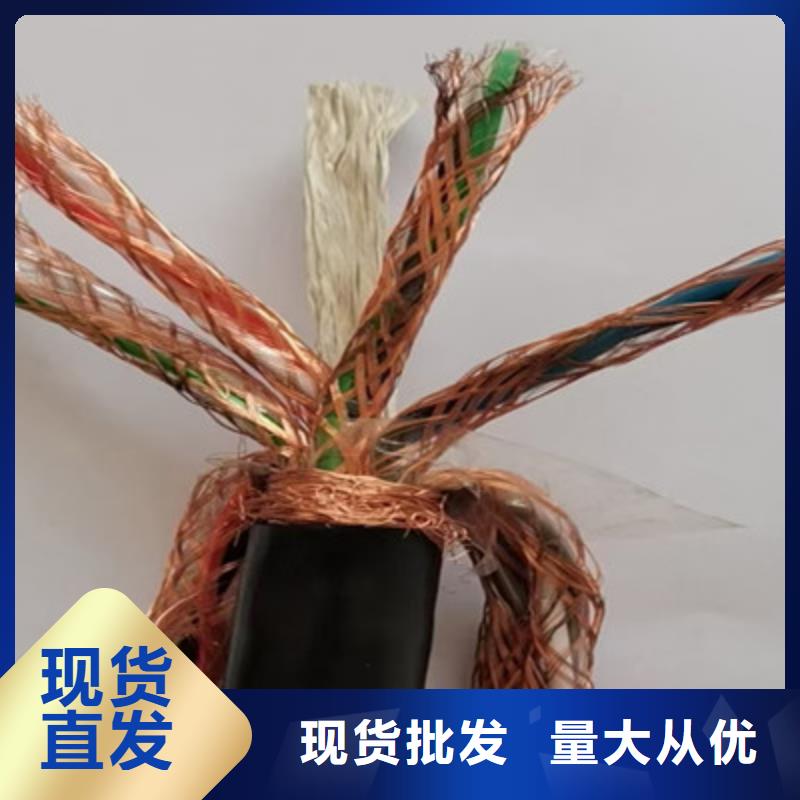 计算机屏蔽电缆DJVVPR3X2.5