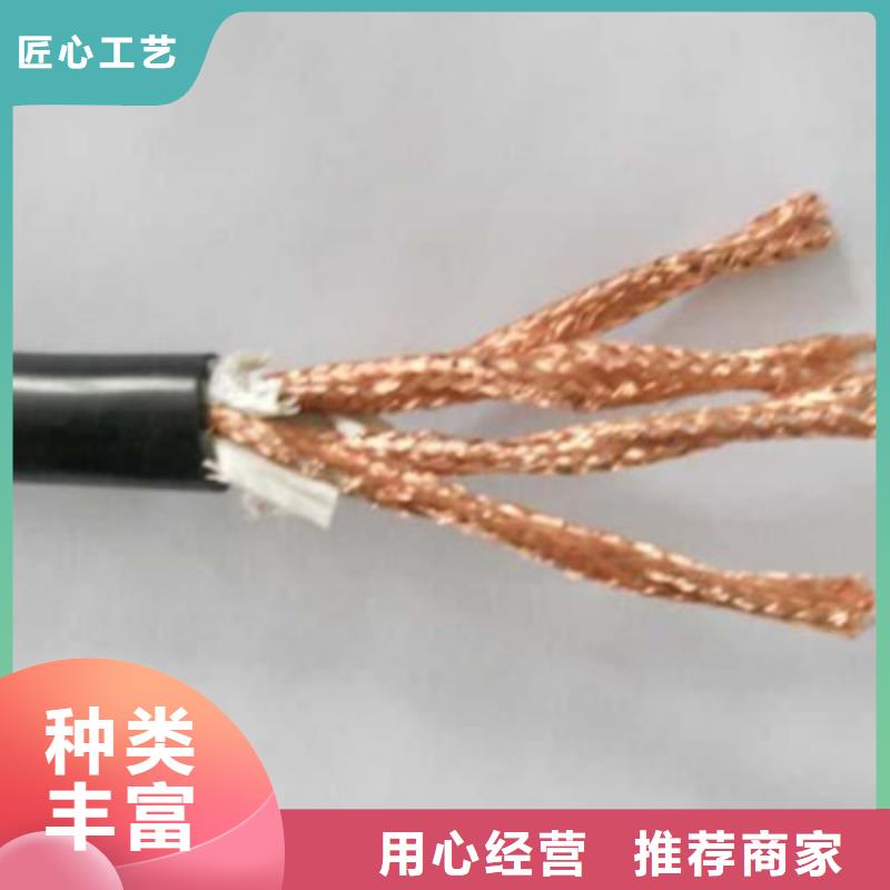 <电缆>耐火计算机电缆NH-ZRB-DJYP3VDP23X2X2.5