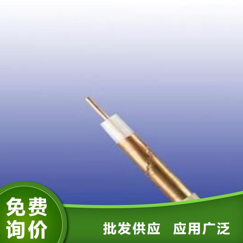 射频同轴电缆电缆生产厂家超产品在细节